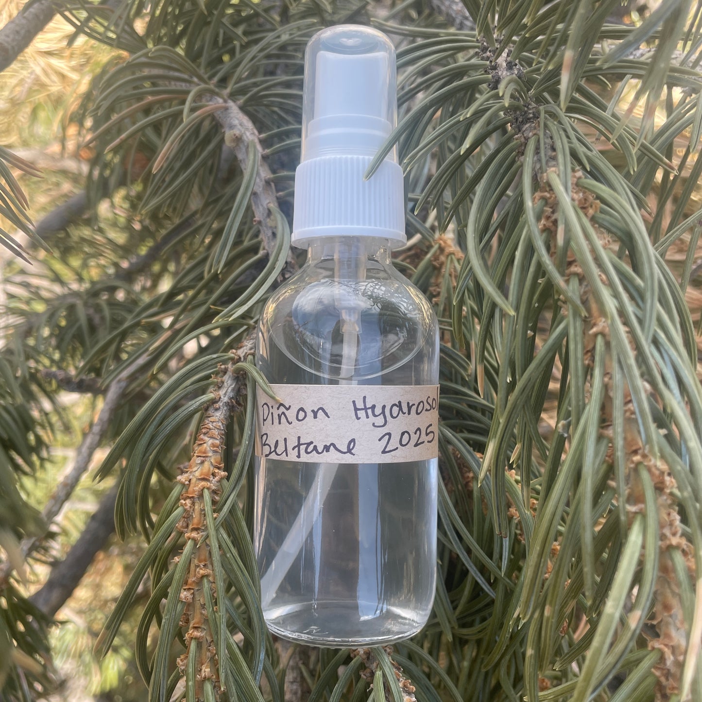 Piñon Hydrosol