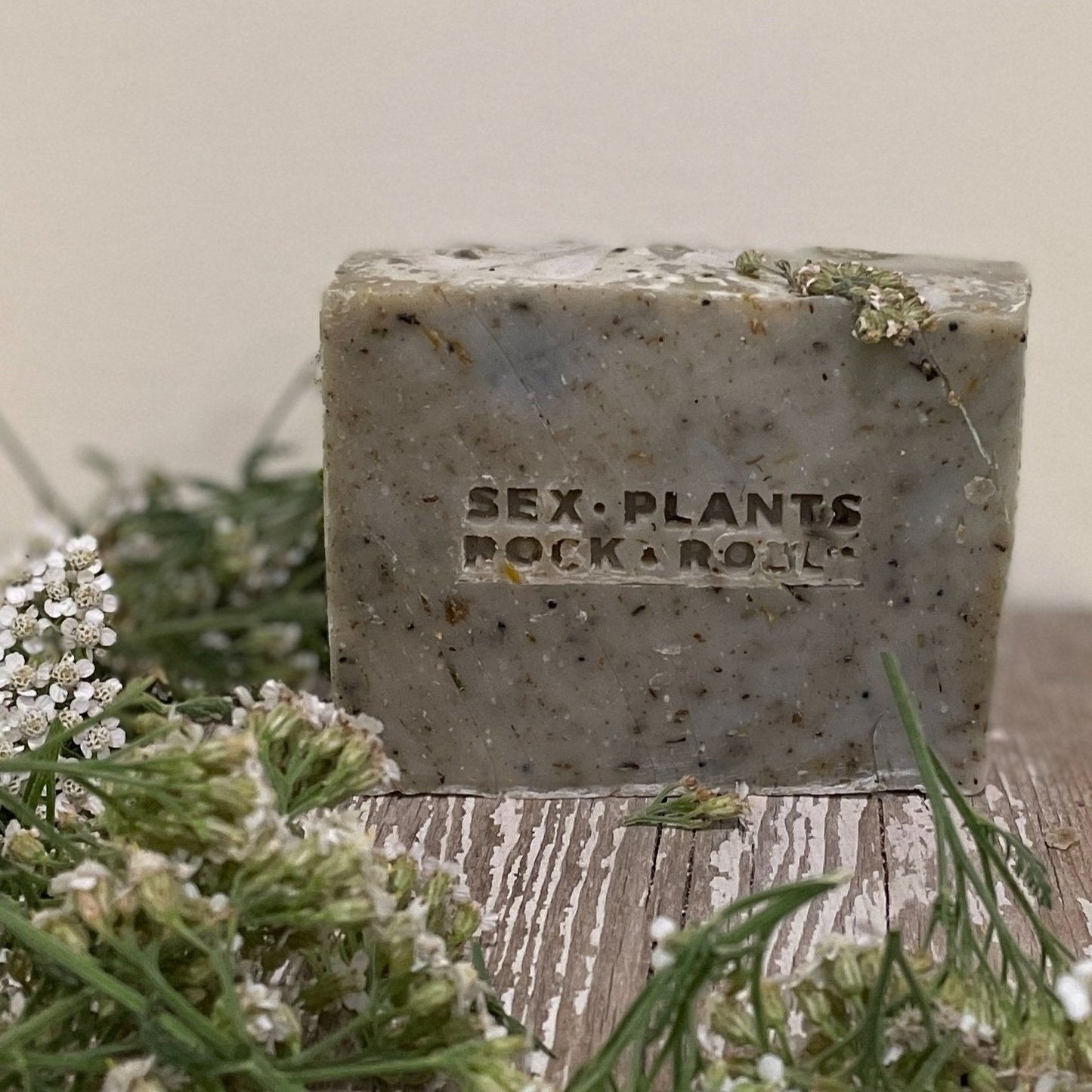 Plant Based Soap Bars