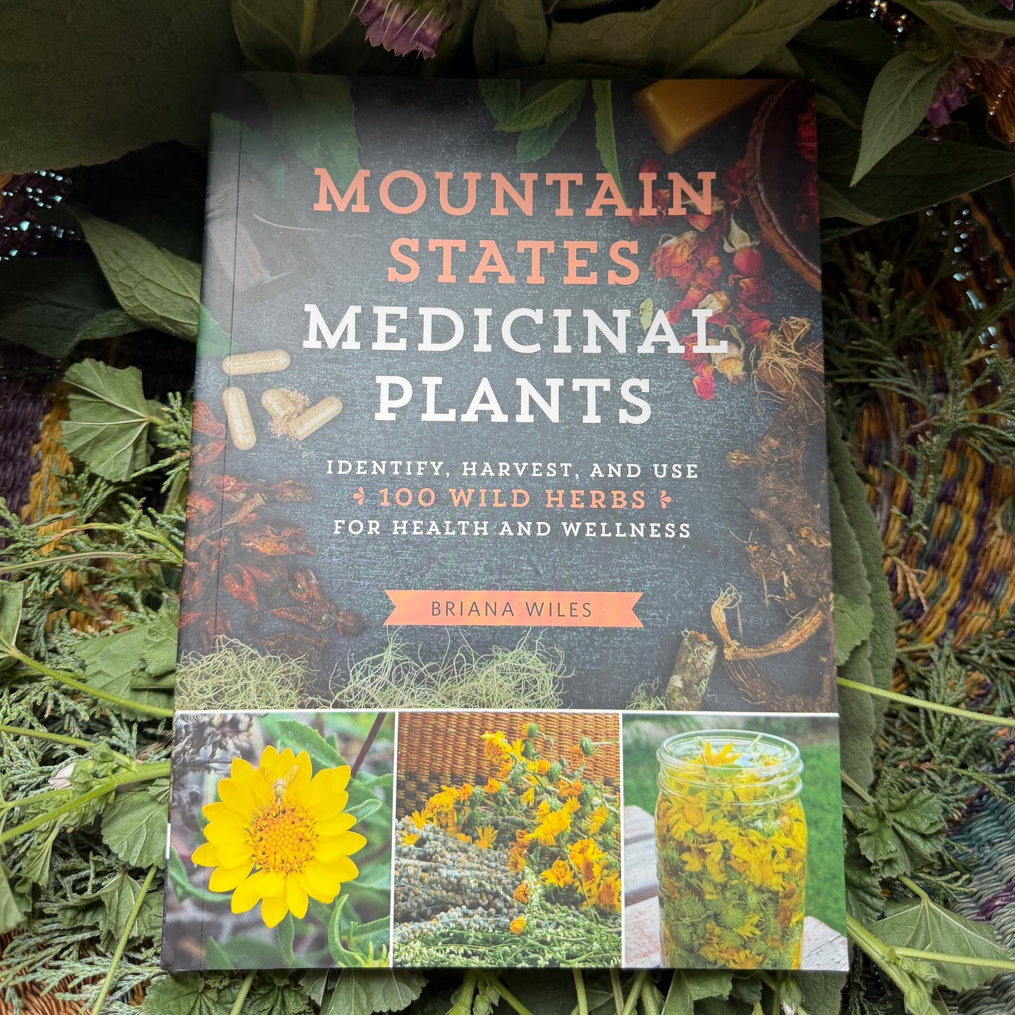 Mountain States Medicinal Plants