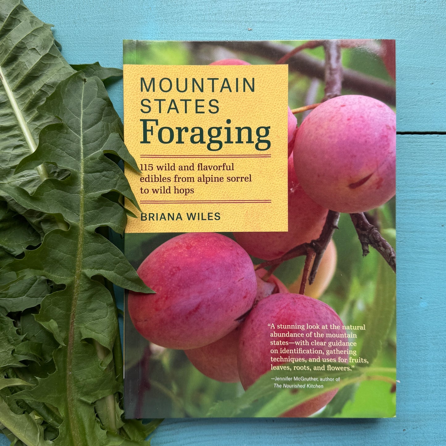 Mountain States Foraging