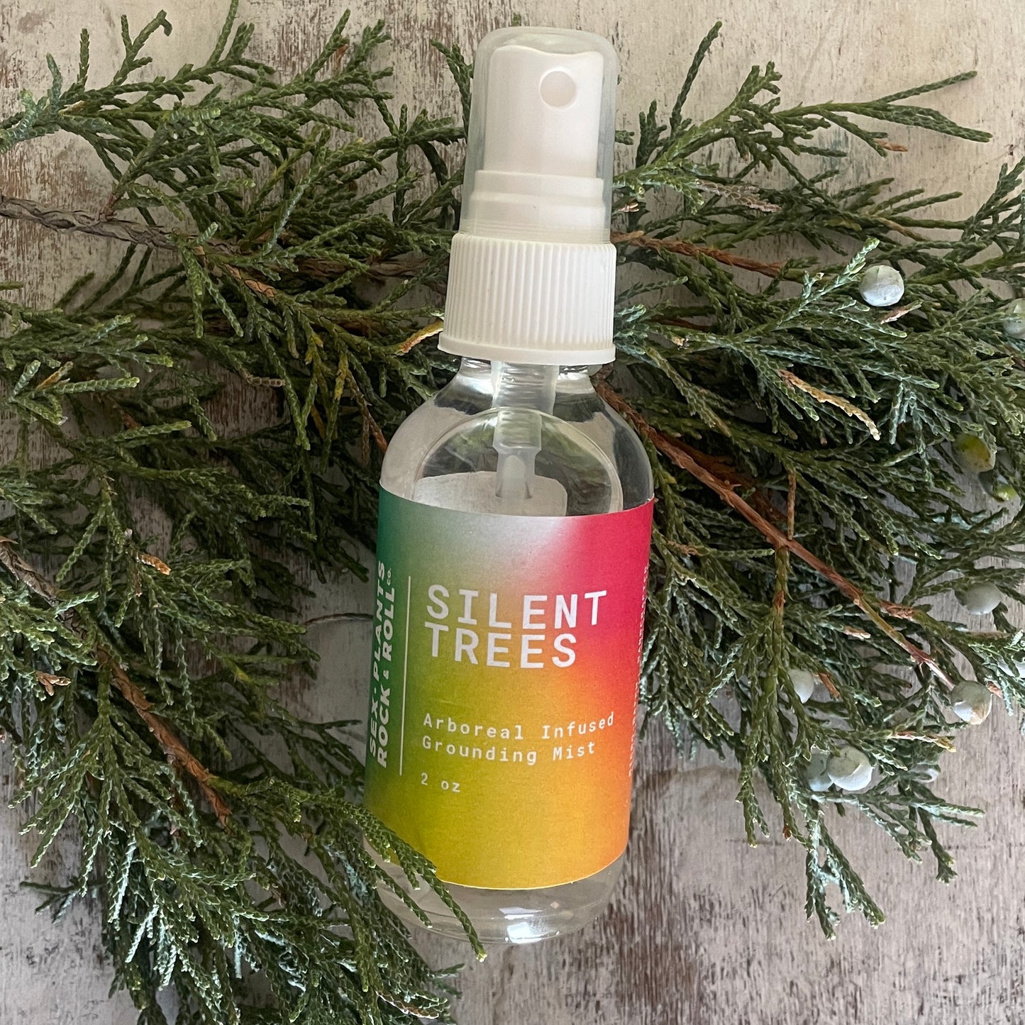 Silent Trees - Grounding Mist