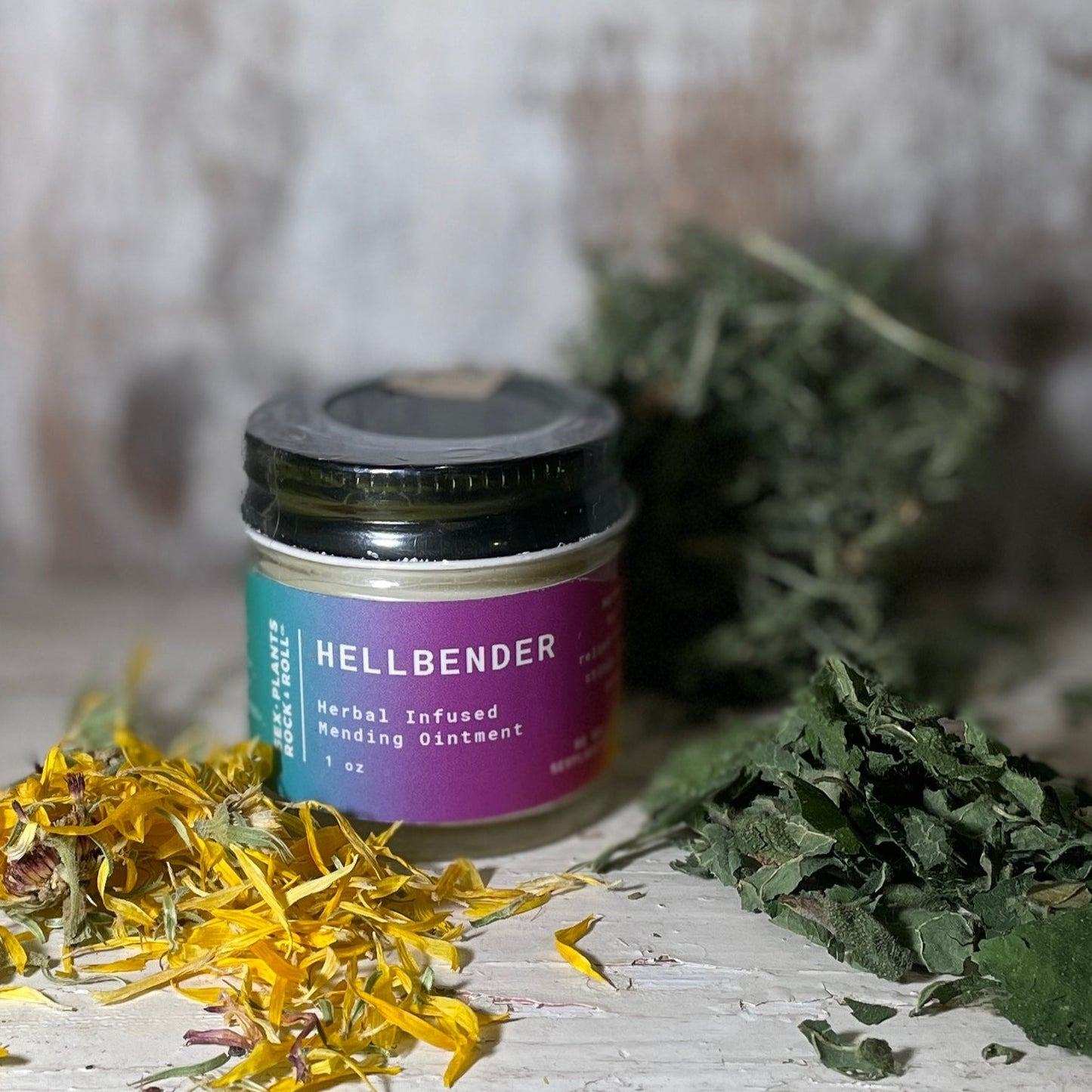 Hellbender - Herbal First Aid Ointment